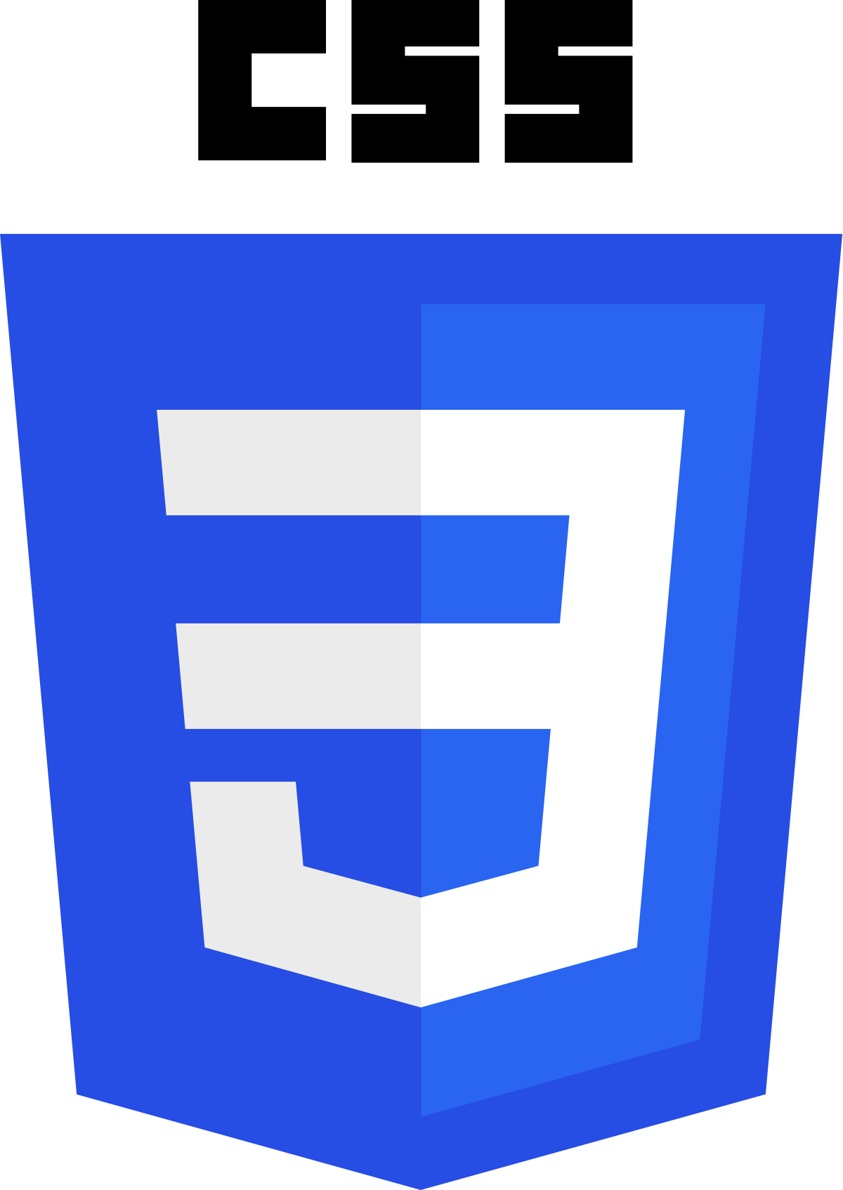 logo for CSS